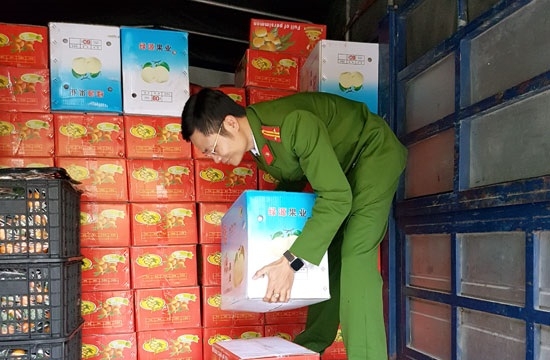 Nghệ An: Bắt giữ khoảng 2,5 tấn trái cây Trung Quốc không rõ chứng từ